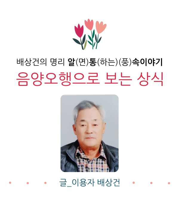 배상건의 명리 알면 통하는 풍속이야기 음양오행으로 보는 상식 글 이용자 배상건