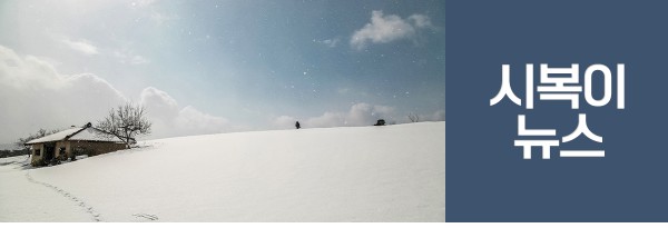 열번째 소식. 시복이뉴스