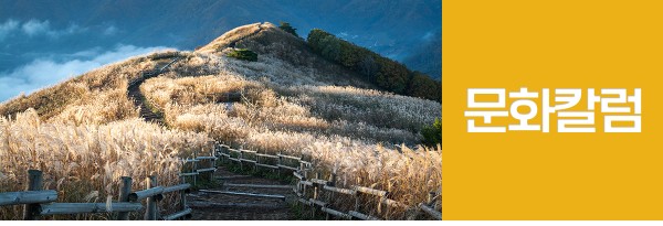 여섯번째 소식. 문화칼럼(이용자 참여)