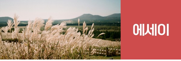 일곱번째 소식. 에세이(이용자 참여)