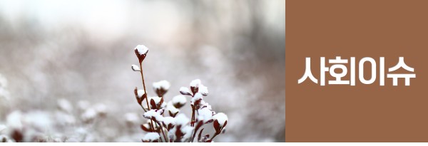 여덟번째 소식. 사회이슈(이용자 참여)