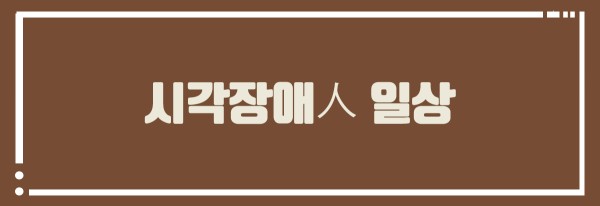시각장애인 일상