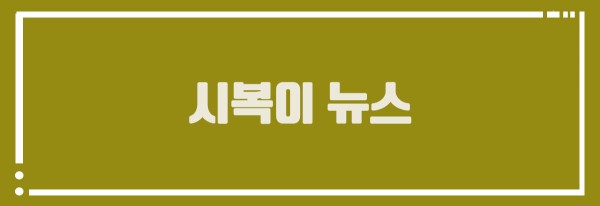 시복이 뉴스