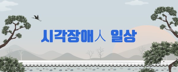 시각장애인 일상